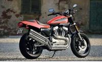 Harley Davidson XR 1200 Prototype