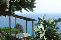 Property web site launches to meet demand for a place in the Italian sun