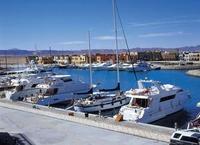 Brits still in love with Egypt’s El Gouna Brits still in love with Egypt’s El Gouna