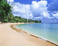 Catch the early bird to Barbados Catch the early bird to Barbados