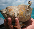Ancient gold chalice recovered off Key West 