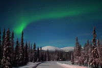 New ways to see the Northern Lights in 2010
