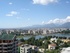 Tirana view