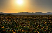 Discover Serbia with Travel the Unknown