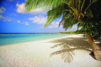 Thomson Airways to fly weekly from Manchester to Aruba