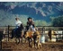 Team Penning, White Stallion Ranch