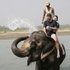 Elephant adventures in Sri Lanka
