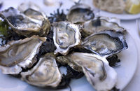 Valentine Warner to launch Falmouth Oyster Festival