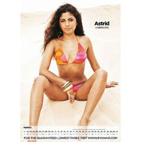 23rd November 2010 Print Email