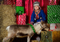 Lottie Sweet, 11 with one of her reindeer