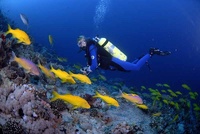 BOGOF diving offers in the Red Sea