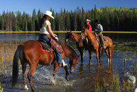 Top50Ranches.com - Simply heaven for horse riders
