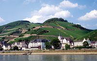 Castles and vineyards of the Rhine