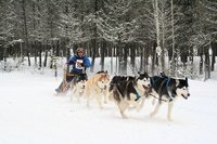 Cariboo Challenge Sled Dog Races Cariboo Challenge Sled Dog Races