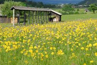 Alpine activity holidays with Just Slovenia Alpine activity holidays with Just Slovenia