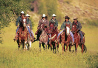 Tracks, trails and tails in Colorado 