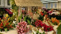 Grenada wins ninth Gold Medal at RHS Chelsea Flower Show