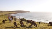 Enjoy a taste of South Australia with Qantas Holidays