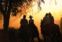 Kimberley Heritage Cattle Drive Kimberley Heritage Cattle Drive