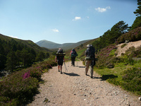 Affordable family adventures in the Cairngorms