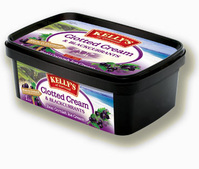 Kelly's of Cornwall Blackcurrant Ice Cream