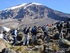 Group trek Kilimanjaro