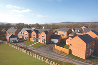 Last chance to buy at Shobdon Oaks!