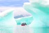 Kayaking Polar Expedition