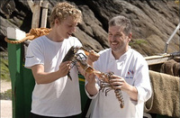 Didier and lobsters