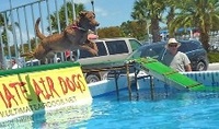Follow Paul Merton to Florida Keys Woofstock 2012