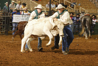 Saddle up for some half term rodeo fun in Kissimmee