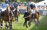 Come be part of the live polo action!