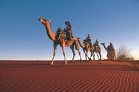 Camel Trek in Australias Red Centre Camel Trek in Australias Red Centre
