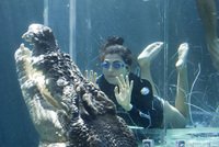 Crocosaurus Cove Crocosaurus Cove