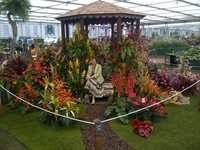 Grenada wins tenth Gold Medal at RHS Chelsea Flower Show