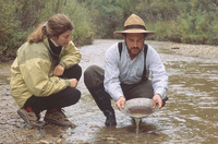 Panning for gold