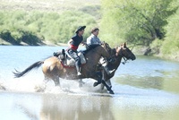 Riding holidays in Argentina with Ranch Rider
