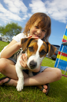 Free dogs at Park Holidays UK
