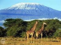 Trek iconic Kilimanjaro