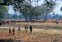 Walking holidays in Zambia