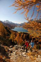 New destination to see autumn leaves