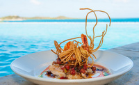 New food and wine festival launched in Antigua