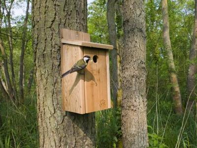 bird nest boxes for your garden birds easier bird nest boxes for your garden birds easier