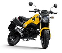 Honda MSX125 - A new leisure motorcycle for the youth market