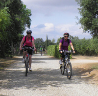 Guided gastronomic cycling tour in Catalonia for solo travellers