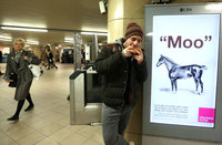 Artist stirrups horse meat controversy