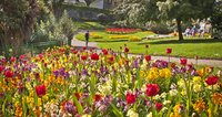 Spring blooms at Guernsey’s Floral Festival