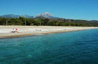 Share this Turkish beach with loggerhead turtles