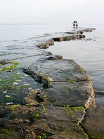 Five of the best family walks for summer