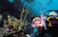 Adrenaline rushes and adventure in the Algarve